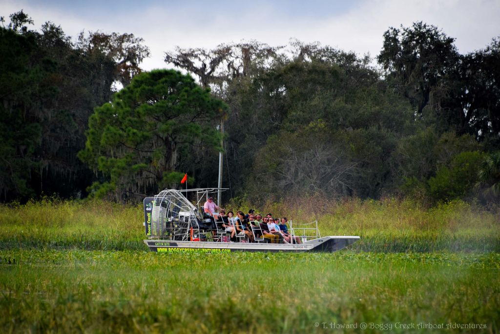 한 무리의 사람들이 잔디가 우거진 습지를 가로지르는 에어보트를 타고 배경에 나무가 보입니다.
