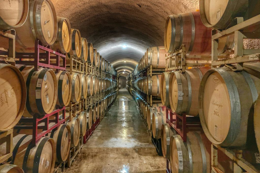 와인 저장고 투어