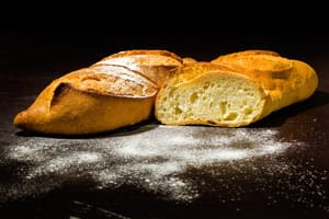 보비스 두브로브니크 점