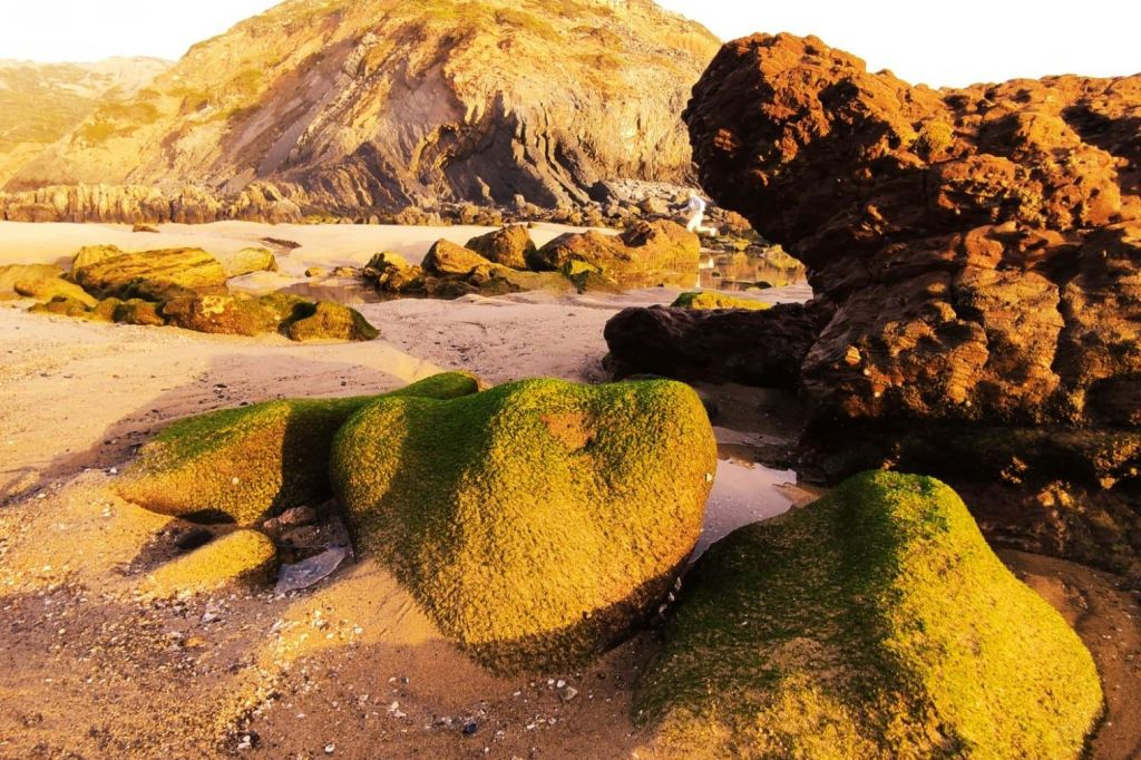 자연의 아름다움