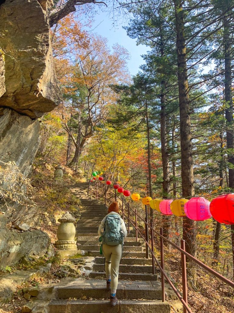 평창 오대산 국립공원(2권역)
