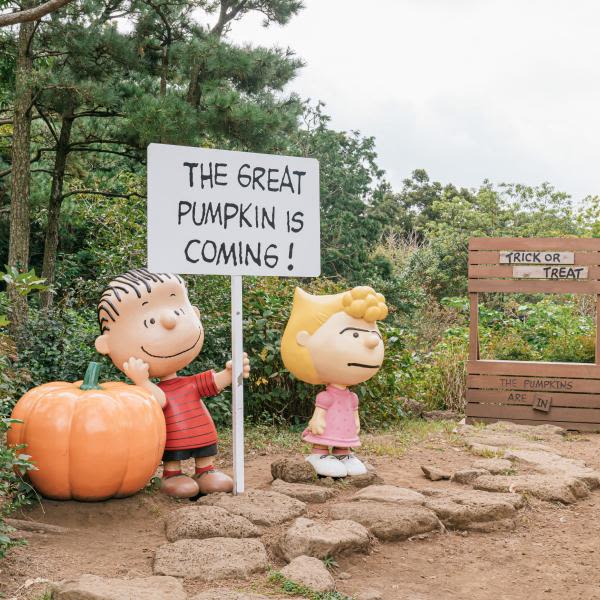 [JEJU]SNOOPY GARDEN