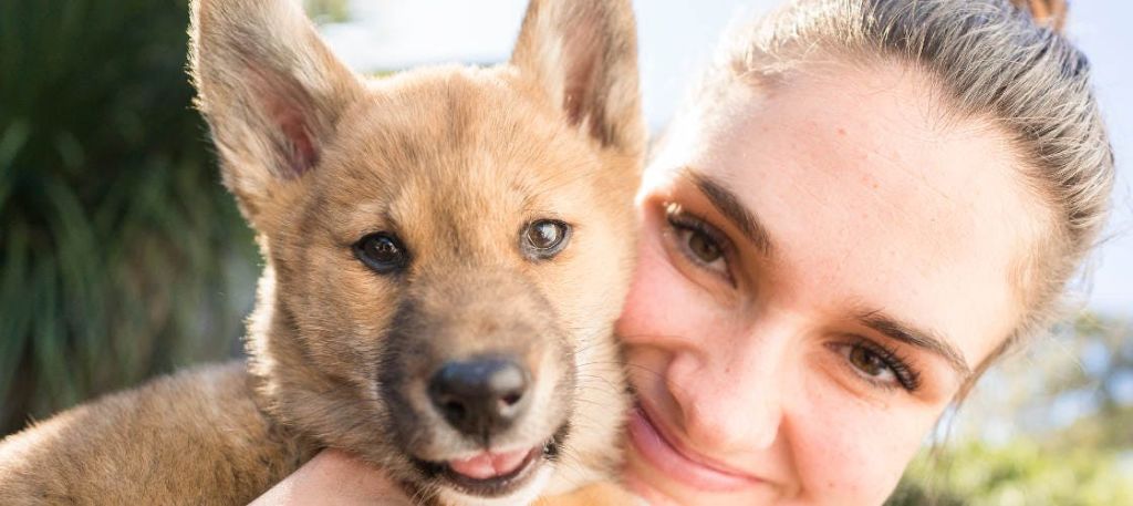 웃는 사람과 갈색 털과 뾰족한 귀를 가진 강아지의 클로즈업이 뺨을 눌렀다.