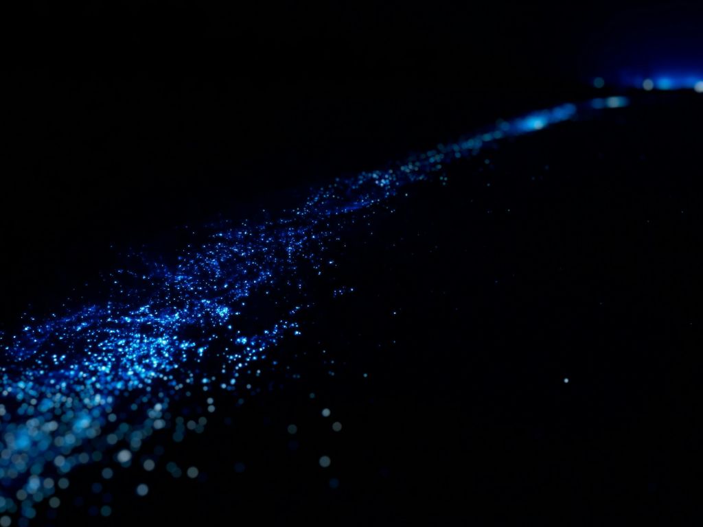 별이 빛나는 밤하늘을 닮은 어둡고 검은 배경에 푸른 빛이 흩날립니다.