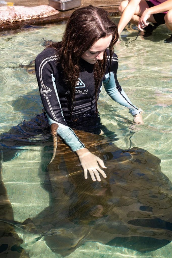 잠수복을 입은 사람이 얕은 물에 무릎을 꿇고 가오리를 잡고 있습니다. 배경에 다른 사람의 다리가 보입니다.