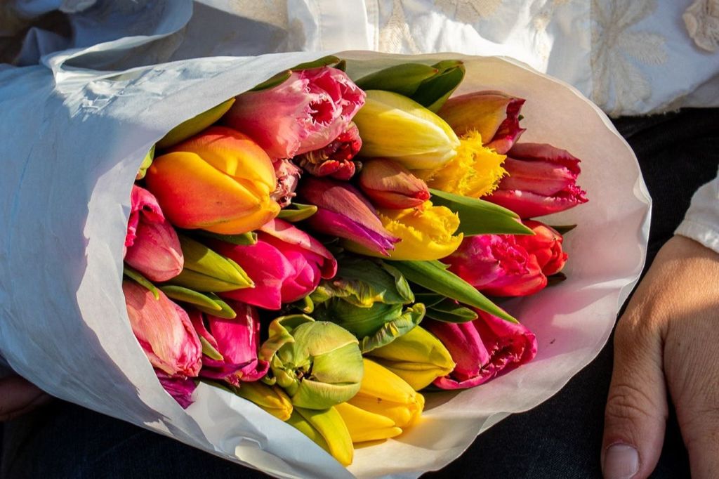 튤립 헛간에서 농장 생화 구매하기