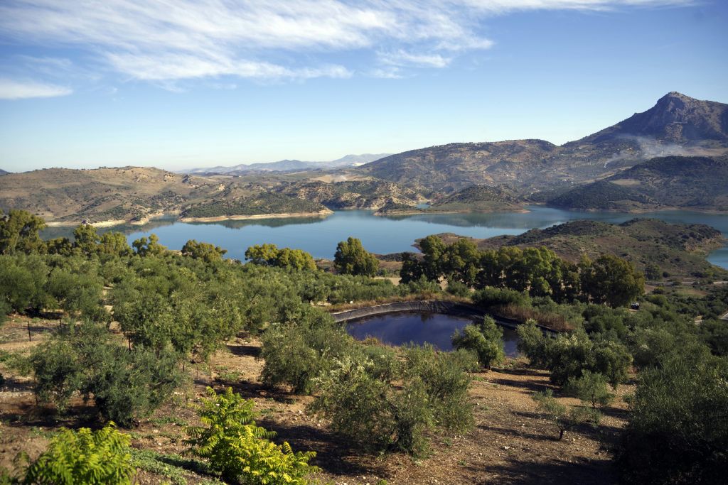 구름이 흩날리는 푸른 하늘 아래 호수, 나무, 관목이 있는 언덕 풍경.