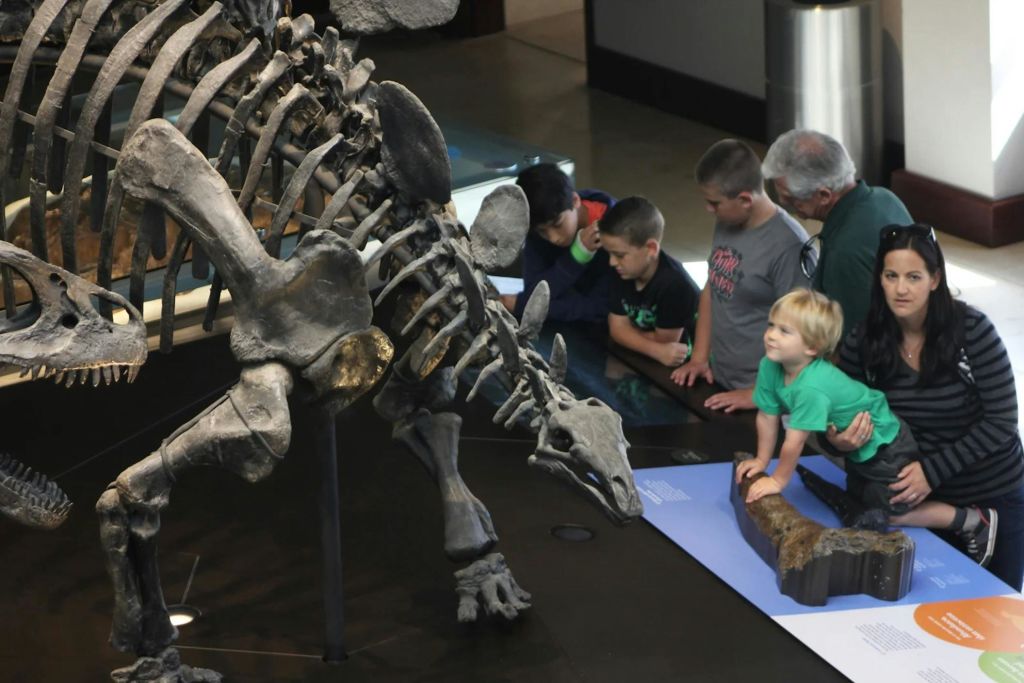 박물관에 전시된 공룡 해골을 살펴보는 어린이와 성인 그룹. 한 여성이 화석을 만지는 어린 아이를 지지하고 있습니다.