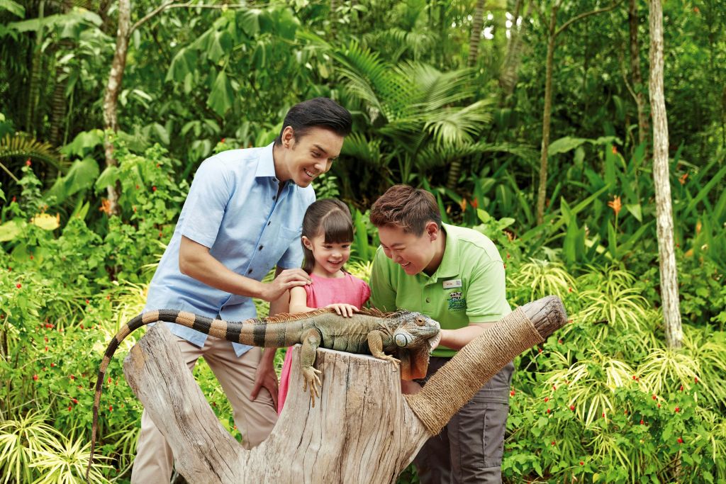 녹음이 우거진 울창한 열대 풍경의 통나무에 어른 2명과 어린이 1명이 이구아나를 만지고 있습니다.