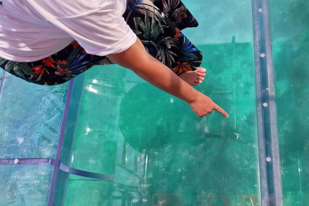 투명 바닥을 뚫고 아래로 향하는 사람으로, 그 아래에는 초록색 물빛이 깔려 있습니다. 맨발로 꽃무늬 스커트를 입고 있습니다.