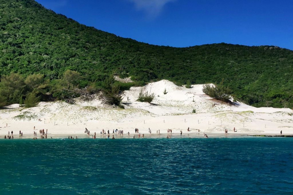 아라이알두카부