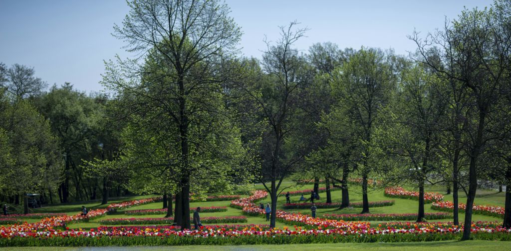 맑은 날 넓은 공원에서 형형색색의 화단과 높고 잎이 없는 잎이 무성한 나무 사이를 걷는 사람들.