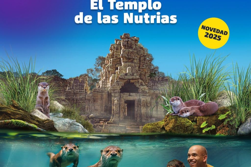 고대 사원 앞의 바위 위에 수달 두 마리가 놓여 있습니다. 아래에는 수달과 웃는 남자가 수중에서 보입니다.