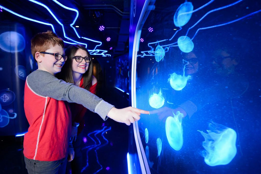 화면에 표시된 조명 해파리를 가리키며 미소를 짓는 네온 불빛의 두 사람.