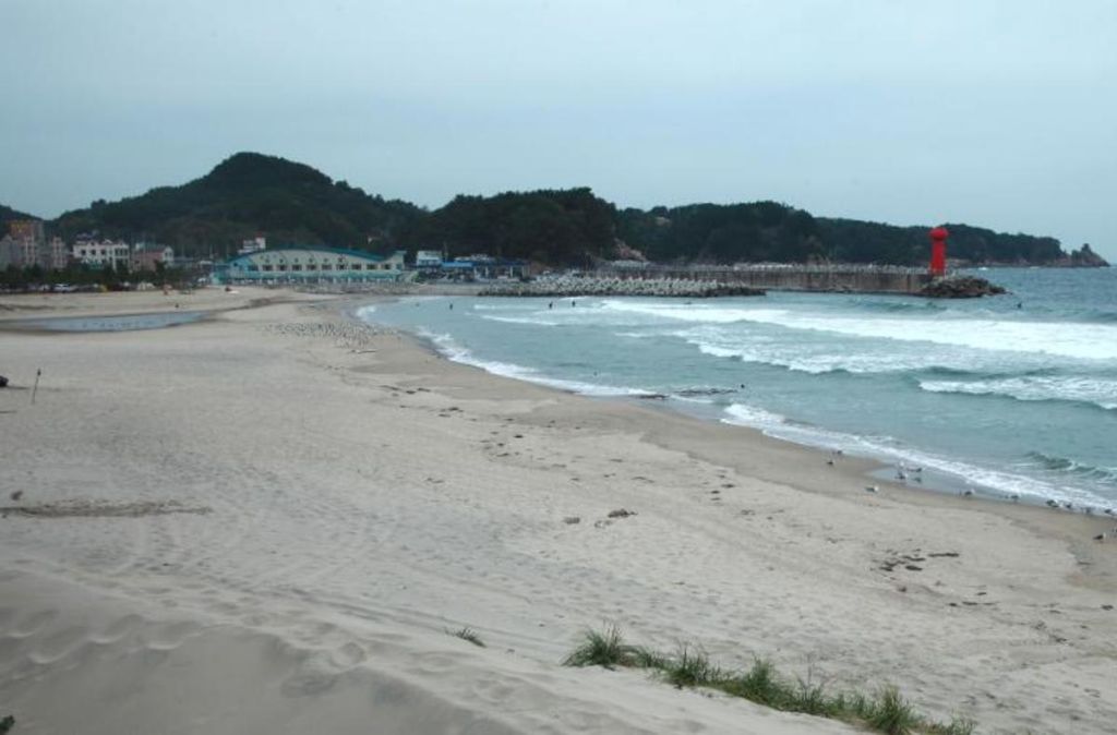 기사문 해수욕장