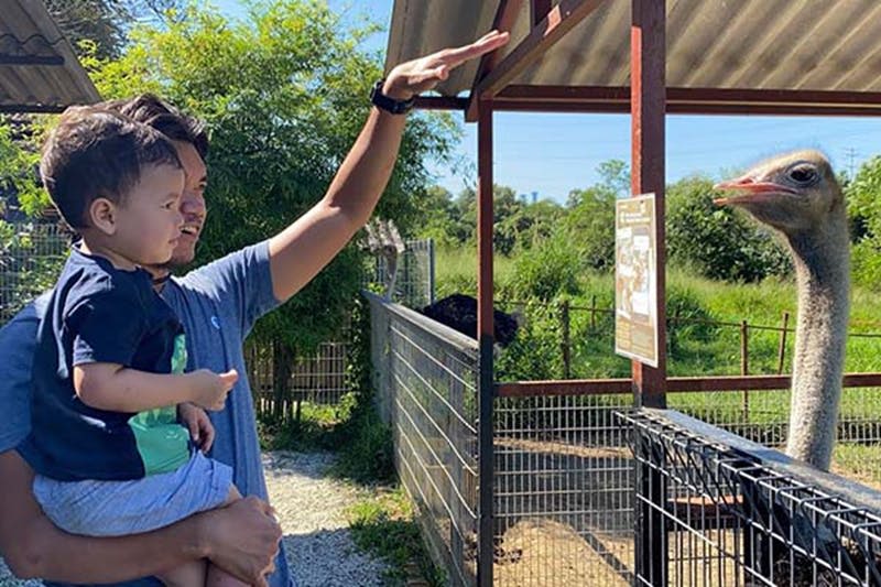 울타리가 쳐진 야외 공간을 배경으로 한 성인이 아이를 안고 무언가를 가리키고 있습니다.
