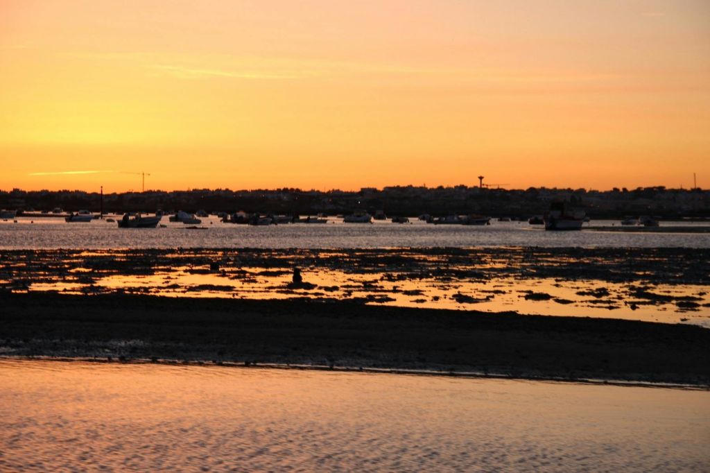 물 위에 보트가 있고 젖은 모래사장과 얕은 물이 반사되는 해안 지역의 오렌지빛 석양