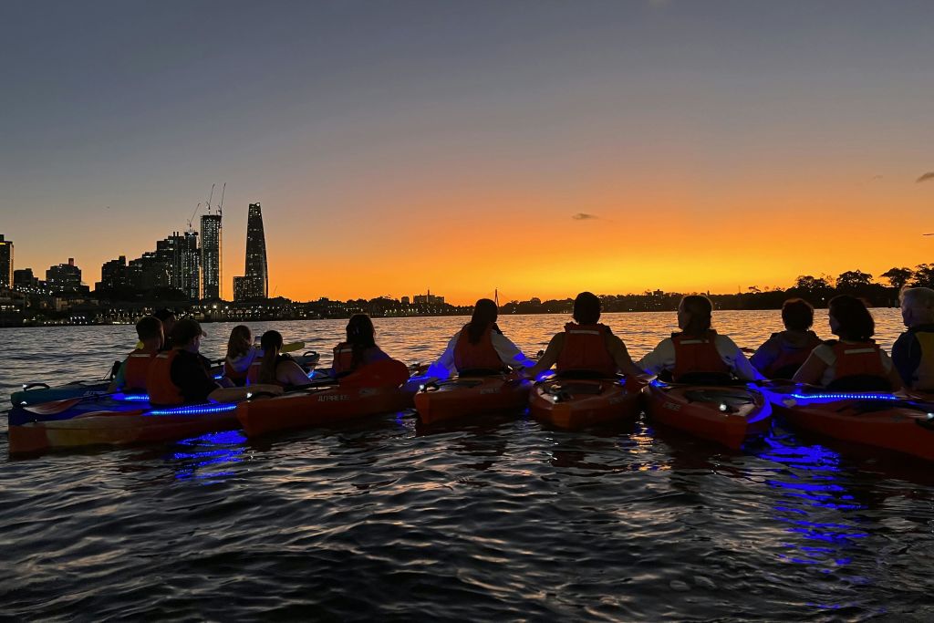 해 질 녘 시드니 항구에서 즐기는 단체 카약과 블루 LED 카약