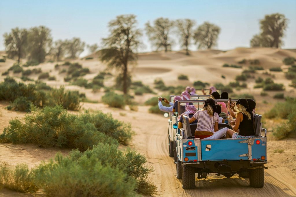 오픈탑 차량을 타고 모래 언덕과 흩어져 있는 관목이 있는 사막 풍경을 운전하는 사람들의 그룹.