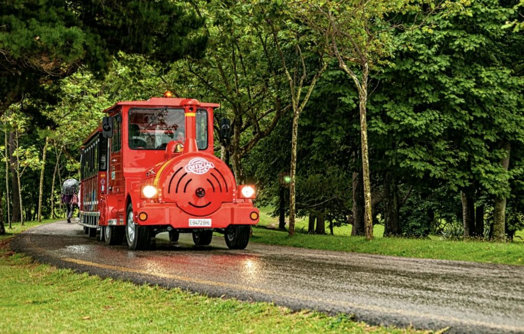 전면에 '관광 열차' 가 있는 작은 빨간색 열차가 울창한 푸른 나무가 우거진 공원을 가로지르는 젖은 길을 따라 달립니다.