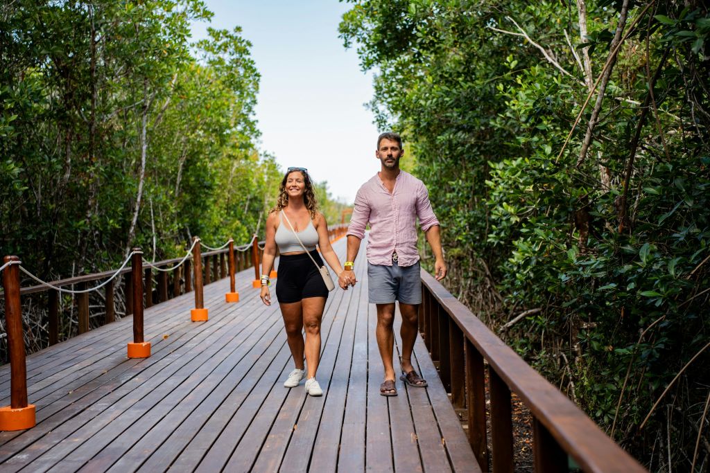 맑은 하늘 아래 울창한 푸른 나무로 둘러싸인 나무 산책로에서 손을 잡고 있는 커플이 산책하고 있습니다.