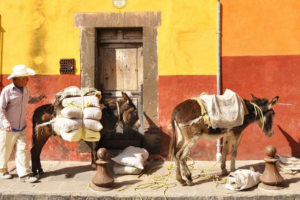 산 미구엘 데 아옌데