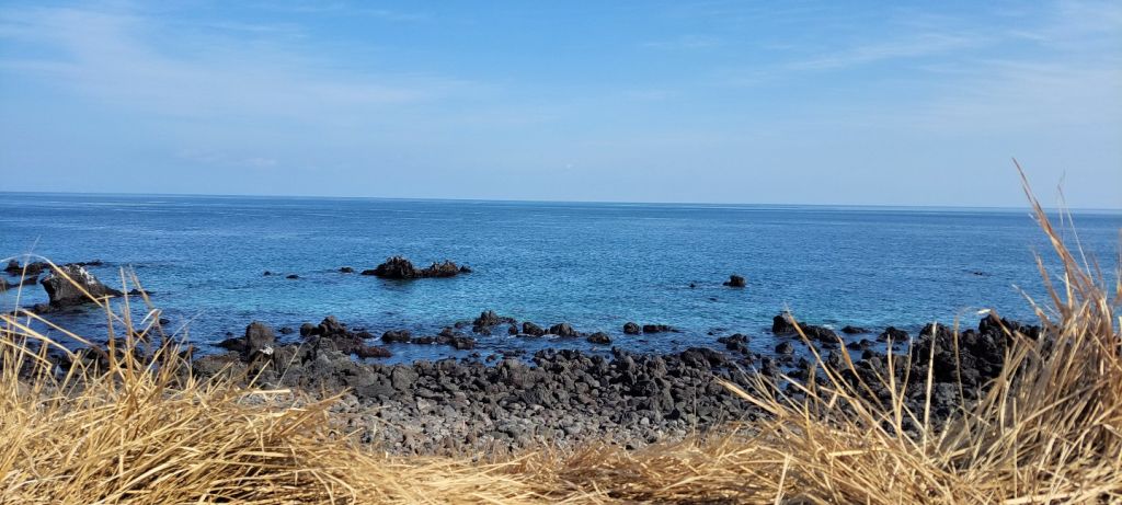 신풍 신천 바다 목장