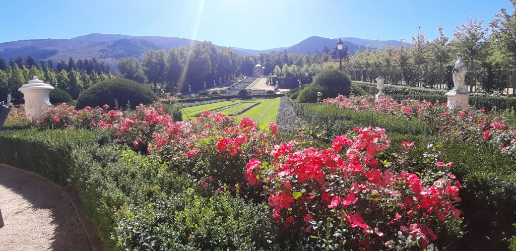 분홍색 꽃이 피고, 잘 가꿔진 울타리가 있으며, 맑은 하늘 아래 먼 나무와 산으로 이어지는 통로가 있는 정식 정원입니다.