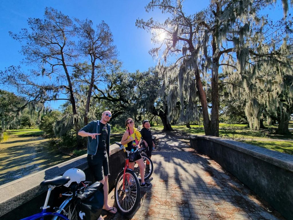 이끼가 매달린 나무로 둘러싸인 햇살 가득한 길에서 자전거를 탄 세 사람.