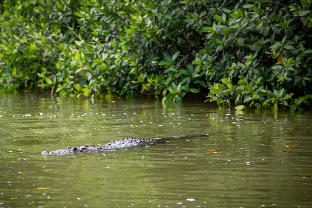 하프 하프 하프 하프 하프 하프
