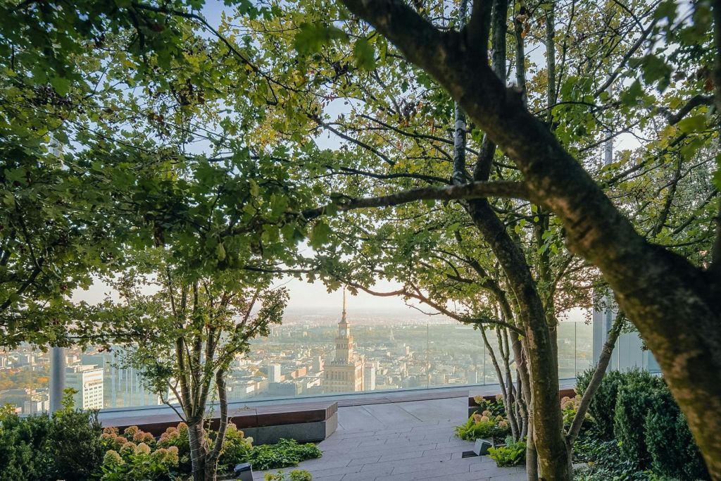 도시 전망을 감상할 수 있는 옥상 정원에 나무가 우거져 있으며, 멀리 높고 뾰족한 탑이 있습니다.