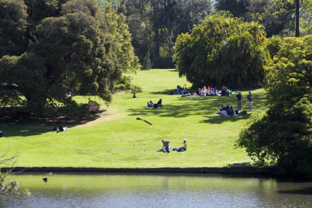 Visit the Royal Botanic Gardens - perhaps enjoy a Devonshire Tea (own expense) or walk by the lake