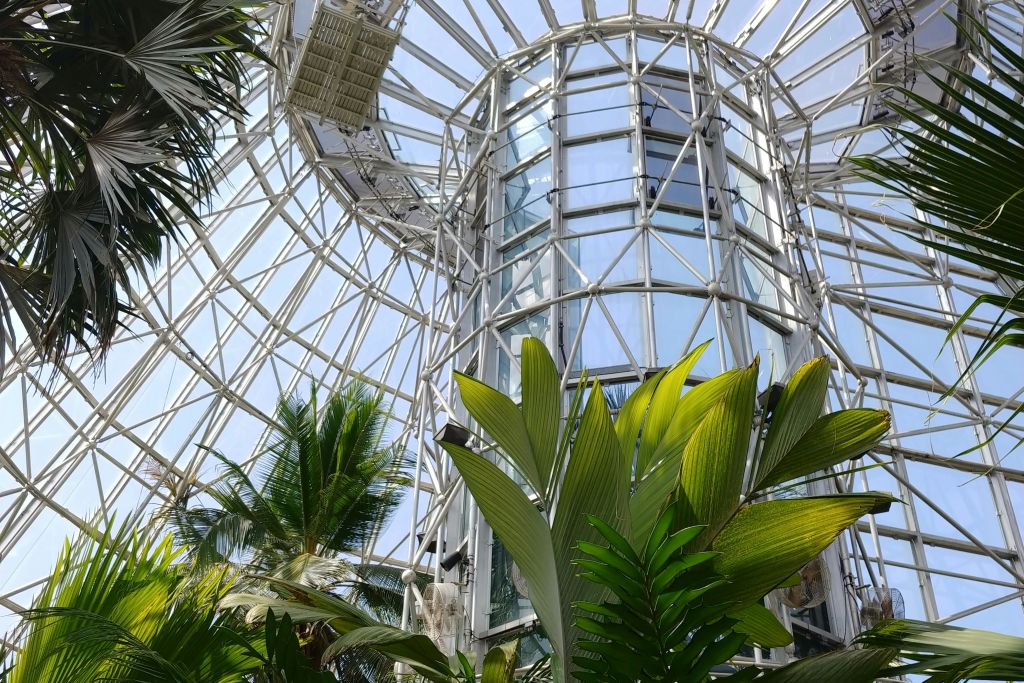 팜룸 음악원 내부 전경.