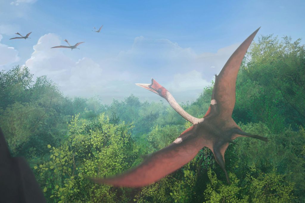 백악기, 6,700만 년 전