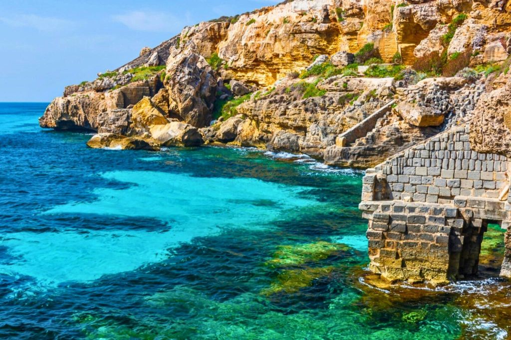 뷔마리노 - 파비냐나