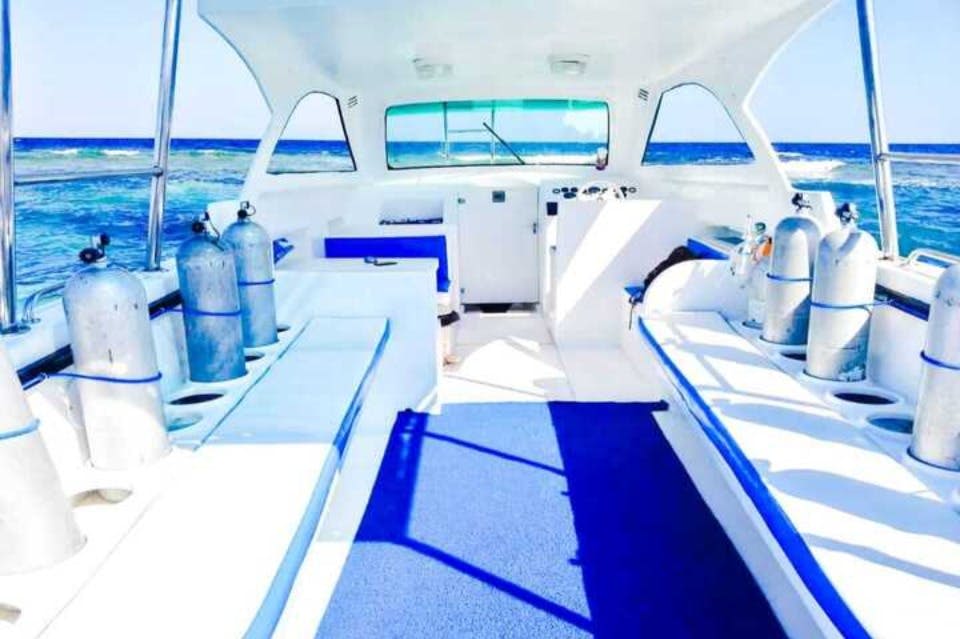 마르사알람에서 스노클링 여행을 위한 스피드보트.