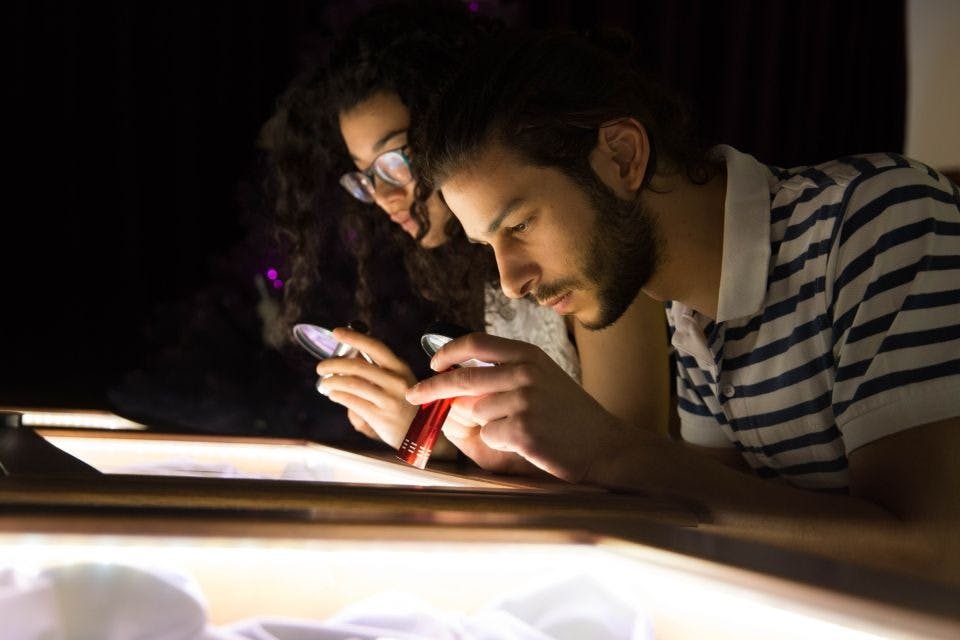 손전등과 돋보기로 우리의 방문자!