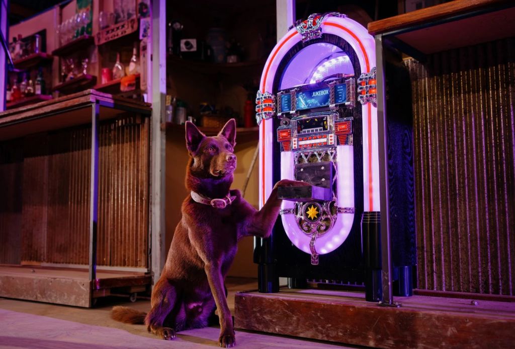 보라색 조명이 있는 방의 빛나는 주크박스에 발을 대고 뒷다리로 서 있는 개.