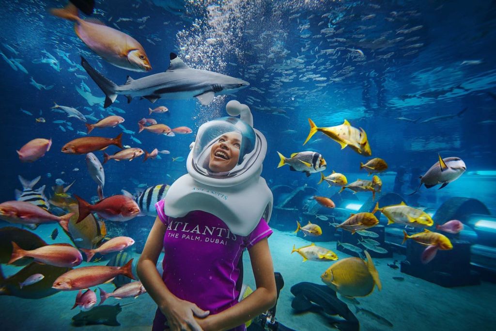 아틀란티스 더 팜 - 아쿠아트렉