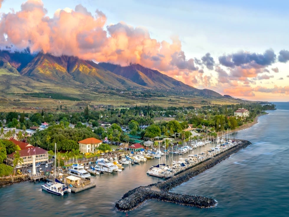 [하와이] 마우이 한국인 가이드 일일투어 항공권&호텔 픽업 포함 트리플 투어티켓