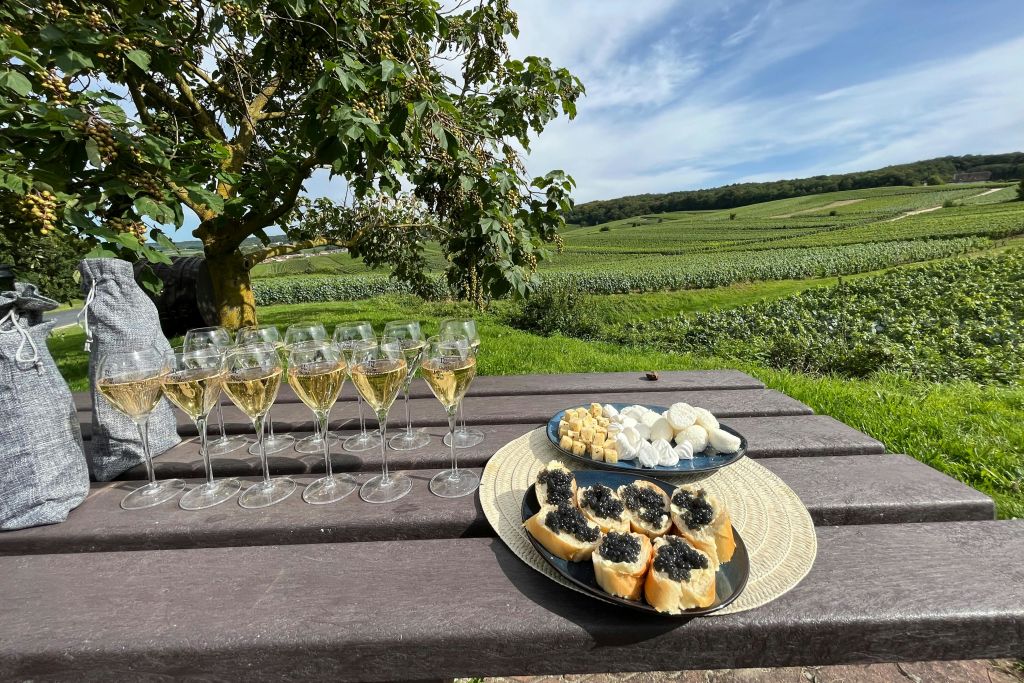 무턱대고 캐비어 샘플 시음하기