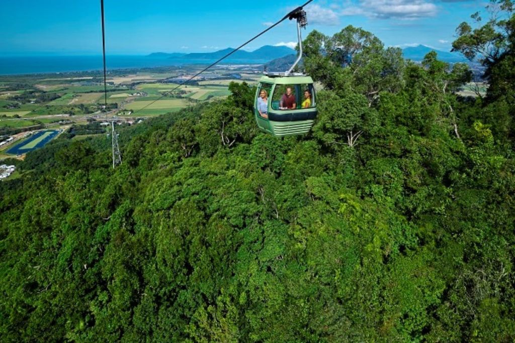 스카이레일 열대우림 케이블웨이에서 세계문화유산에 등재된 열대우림을 둘러보세요.