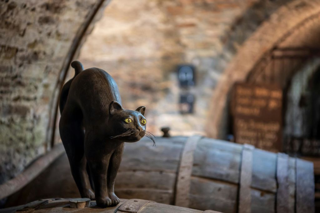 아치형 벽돌로 마감된 소박한 지하실에 검은 고양이 조각상이 나무 통 위에 서 있습니다.