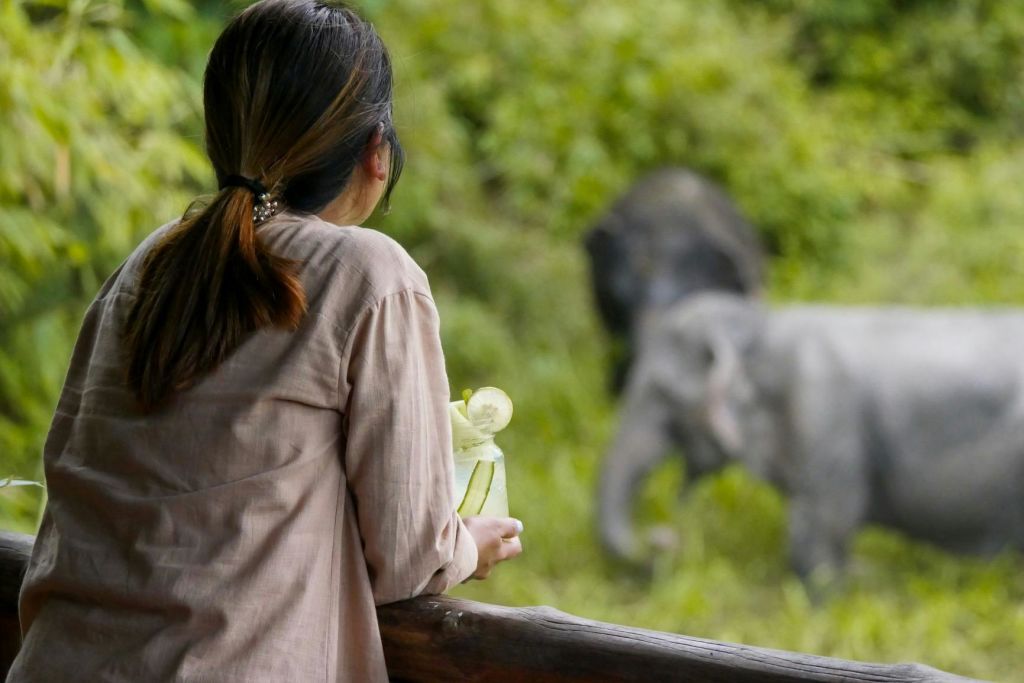 숲이 우거진 초록색 지역에서 코끼리를 보며 새겨진 꽃을 들고 있는 포니테일과 베이지색 셔츠를 입은 여성.