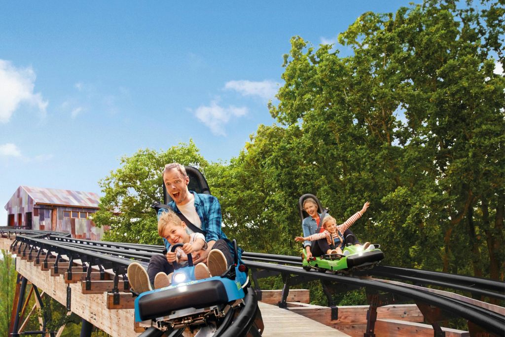 맑고 푸른 하늘 아래 나무로 둘러싸인 개인차를 타고 롤러코스터를 타는 사람들.