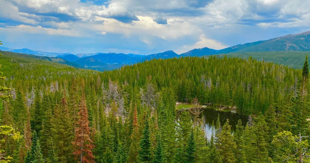 부분적으로 흐린 하늘 아래 소나무와 산으로 둘러싸인 연못이 있는 숲 풍경.