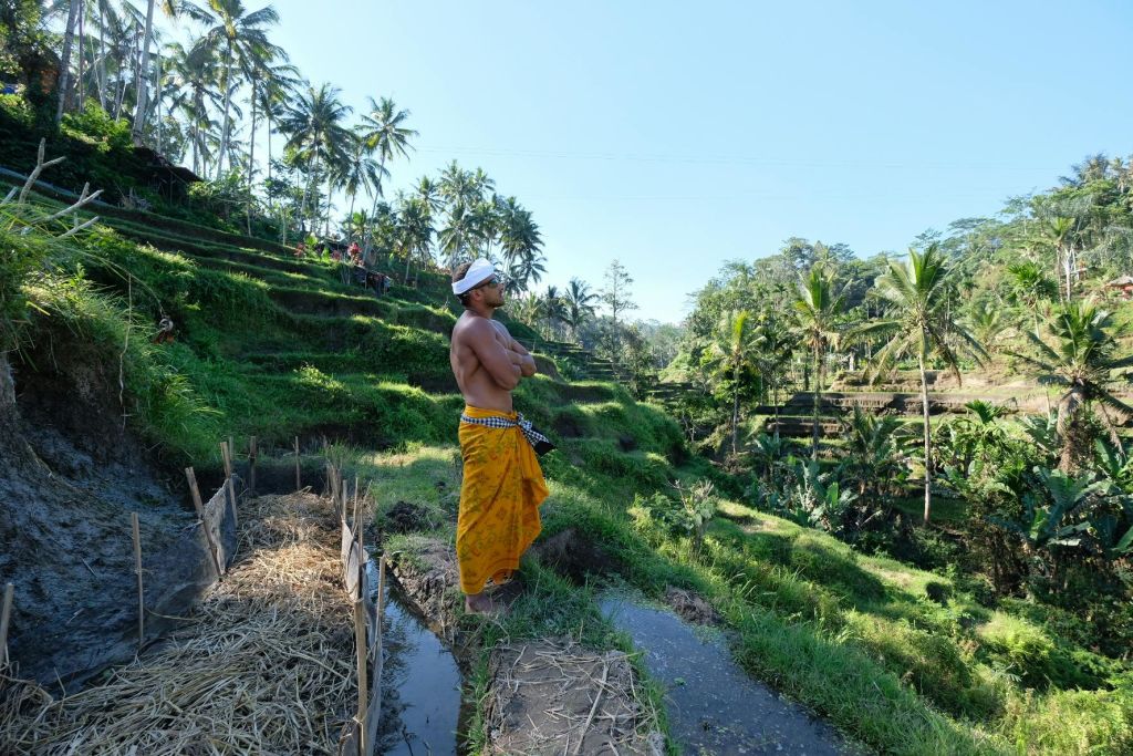 전통적인 복장을 한 사람이 야자수로 둘러싸인 울창하고 계단식 논에 서 있습니다.