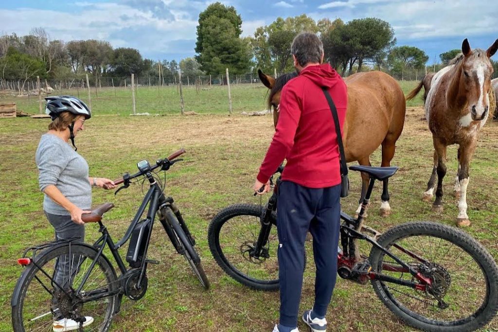 카발로스 엔 엘 카미노