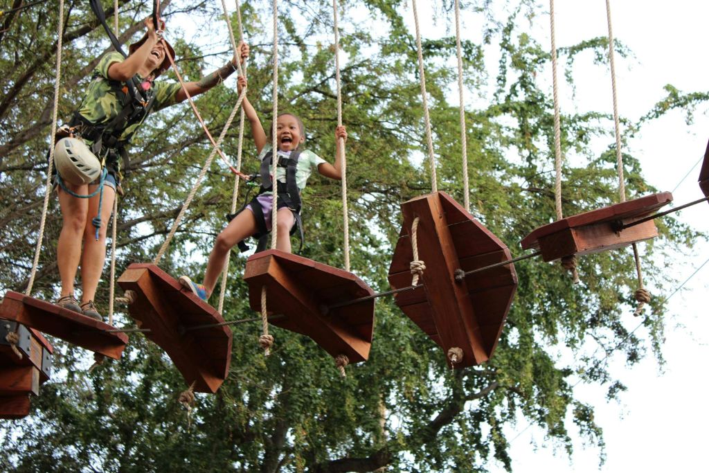 어른과 어린이는 둘 다 나무 사이에 매달린 나무 판자 장애물 코스를 건너며 웃고 흥분합니다.