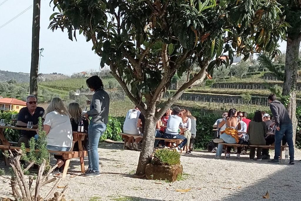 나무 아래 야외 나무 테이블에 앉아 경치 좋은 포도원에서 음료와 음식을 즐기는 사람들.